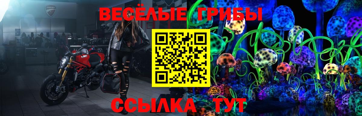 Озёры  Галлюциногенные грибы мухоморы  Вход с VPN  как найти   Галлюциногенные грибы прущие грибы 